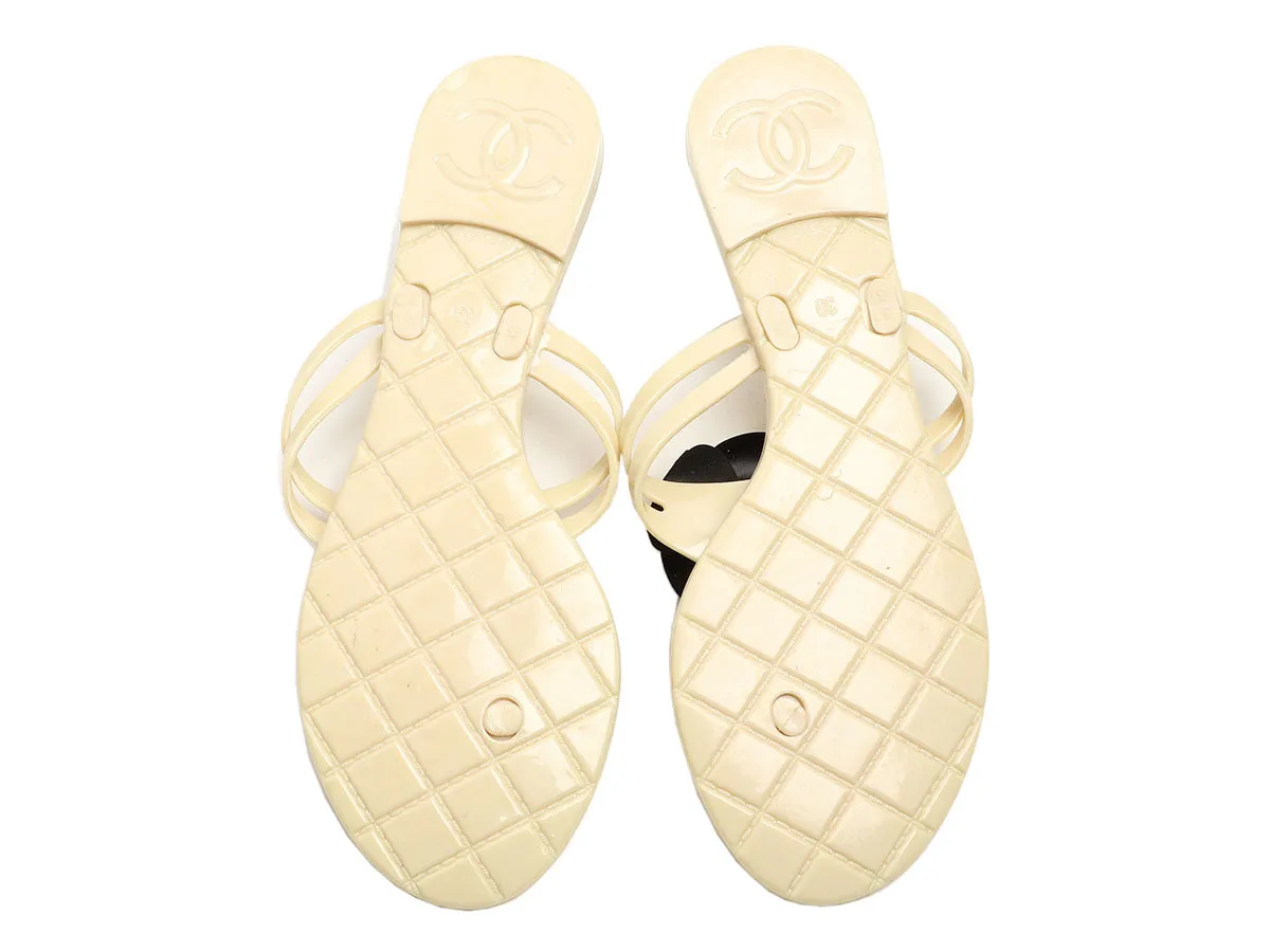 Chanel Cream Jelly Camellia Flower Thong Sandals
